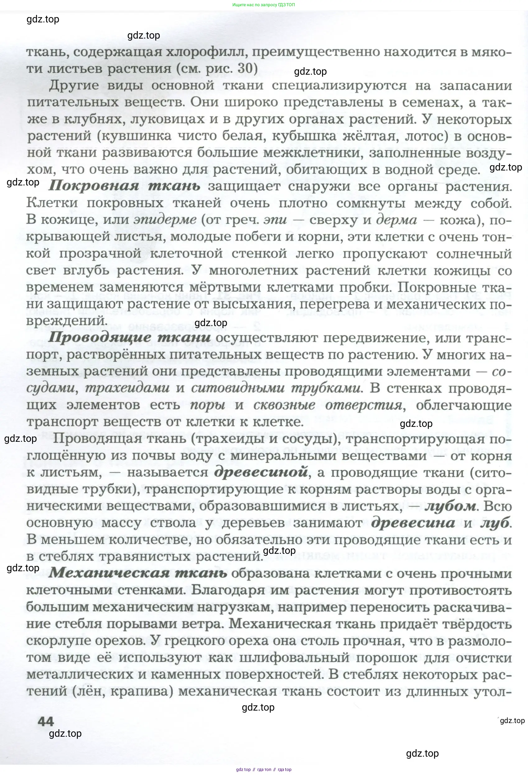 Биология, 6 класс Учебник, авторы: Пономарева Ирма Николаевна, Корнилова Ольга Анатольевна, издательство Просвещение, Москва, 2023, бирюзового цвета, страница 44