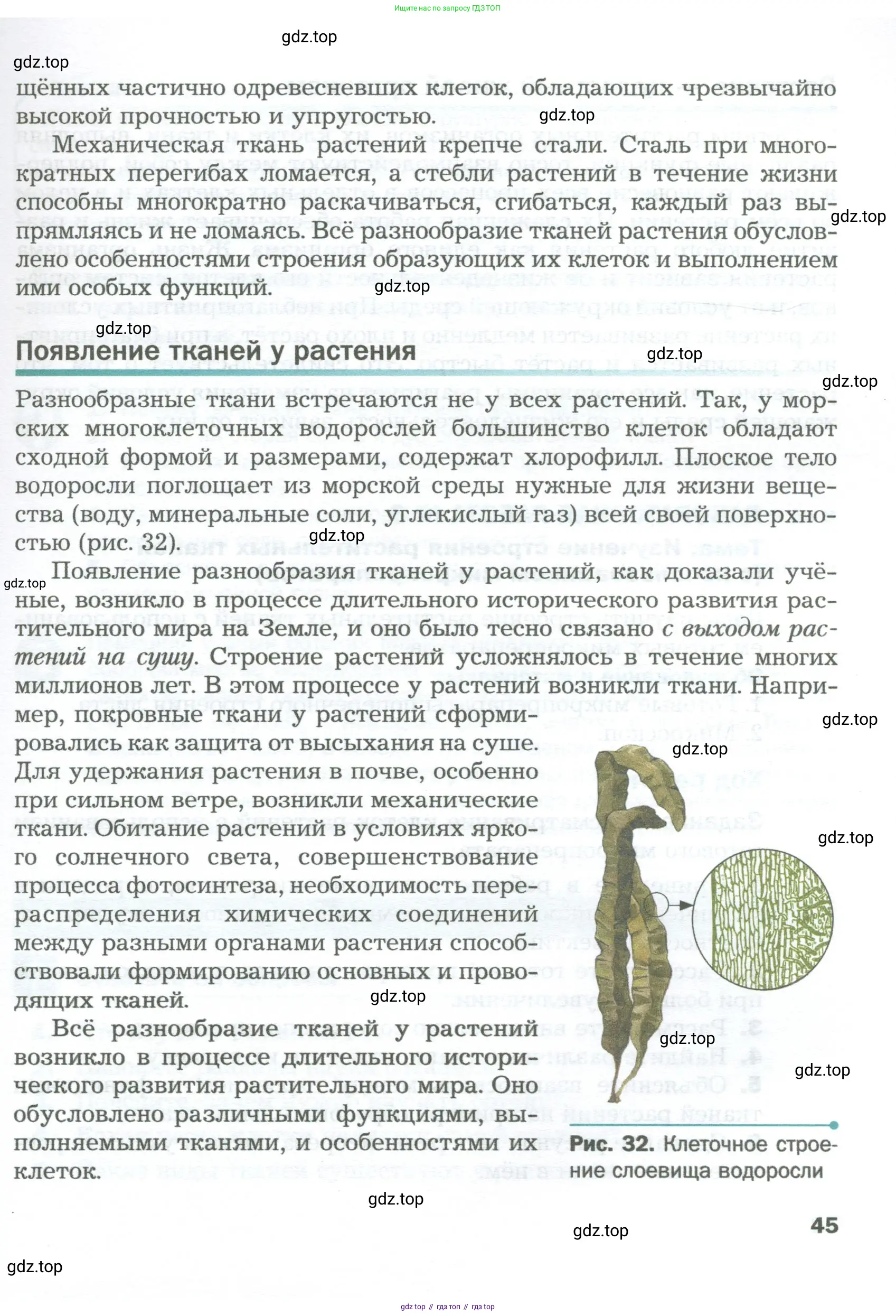 Биология, 6 класс Учебник, авторы: Пономарева Ирма Николаевна, Корнилова Ольга Анатольевна, издательство Просвещение, Москва, 2023, бирюзового цвета, страница 45