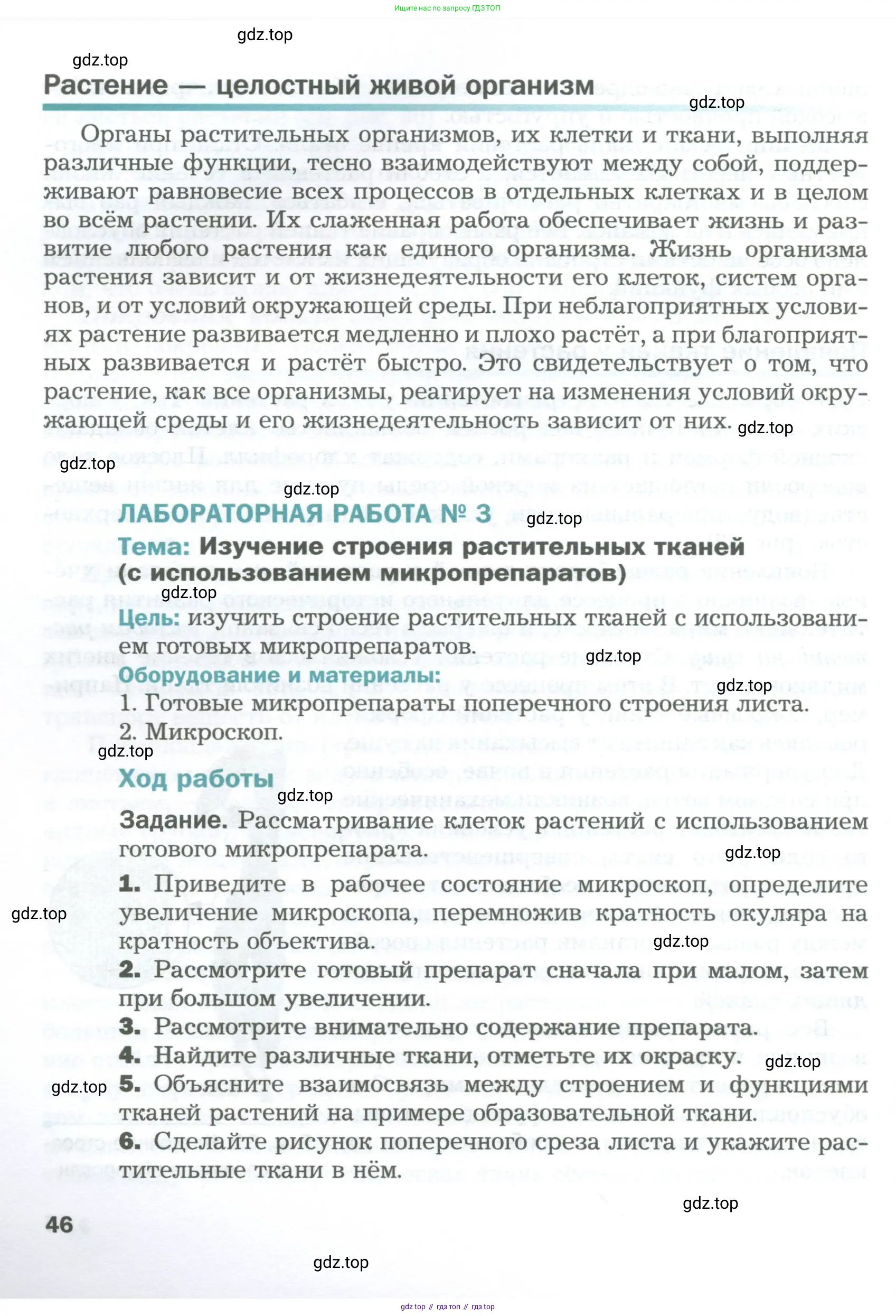 Биология, 6 класс Учебник, авторы: Пономарева Ирма Николаевна, Корнилова Ольга Анатольевна, издательство Просвещение, Москва, 2023, бирюзового цвета, страница 46