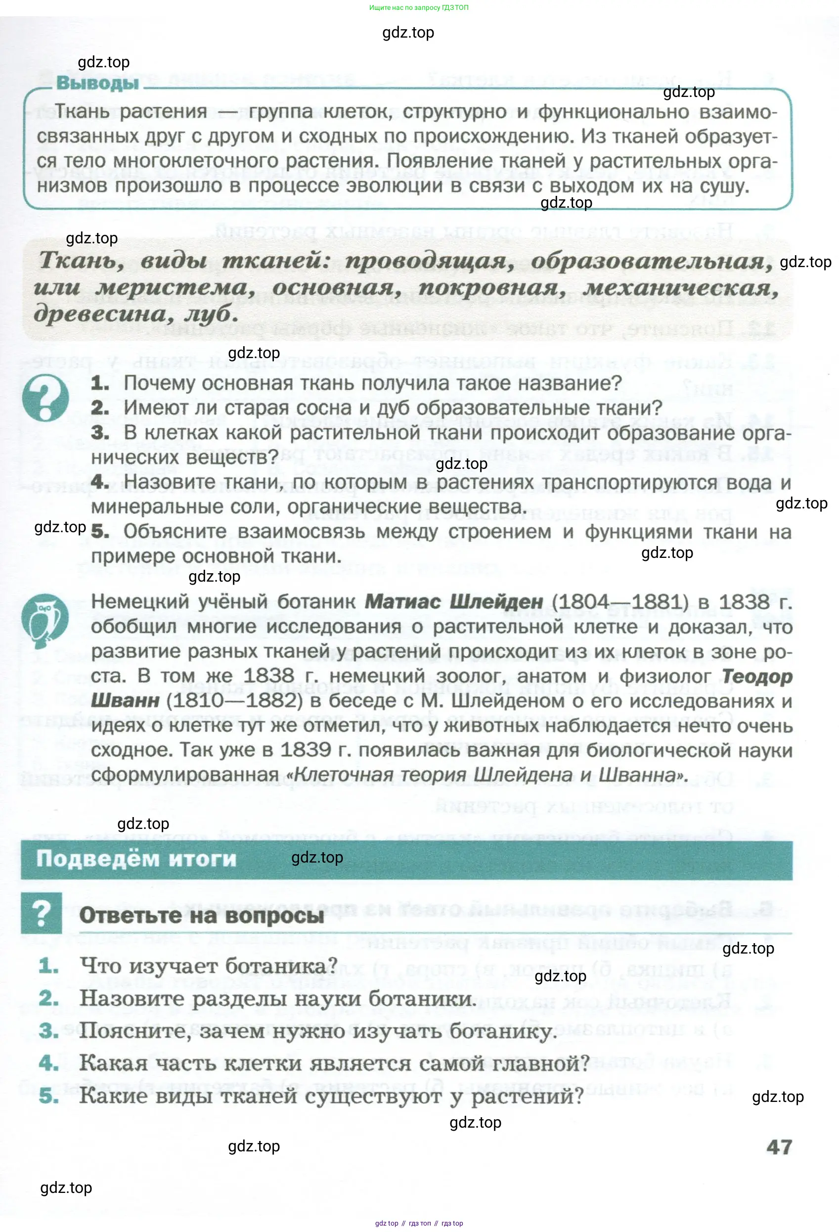 Биология, 6 класс Учебник, авторы: Пономарева Ирма Николаевна, Корнилова Ольга Анатольевна, издательство Просвещение, Москва, 2023, бирюзового цвета, страница 47