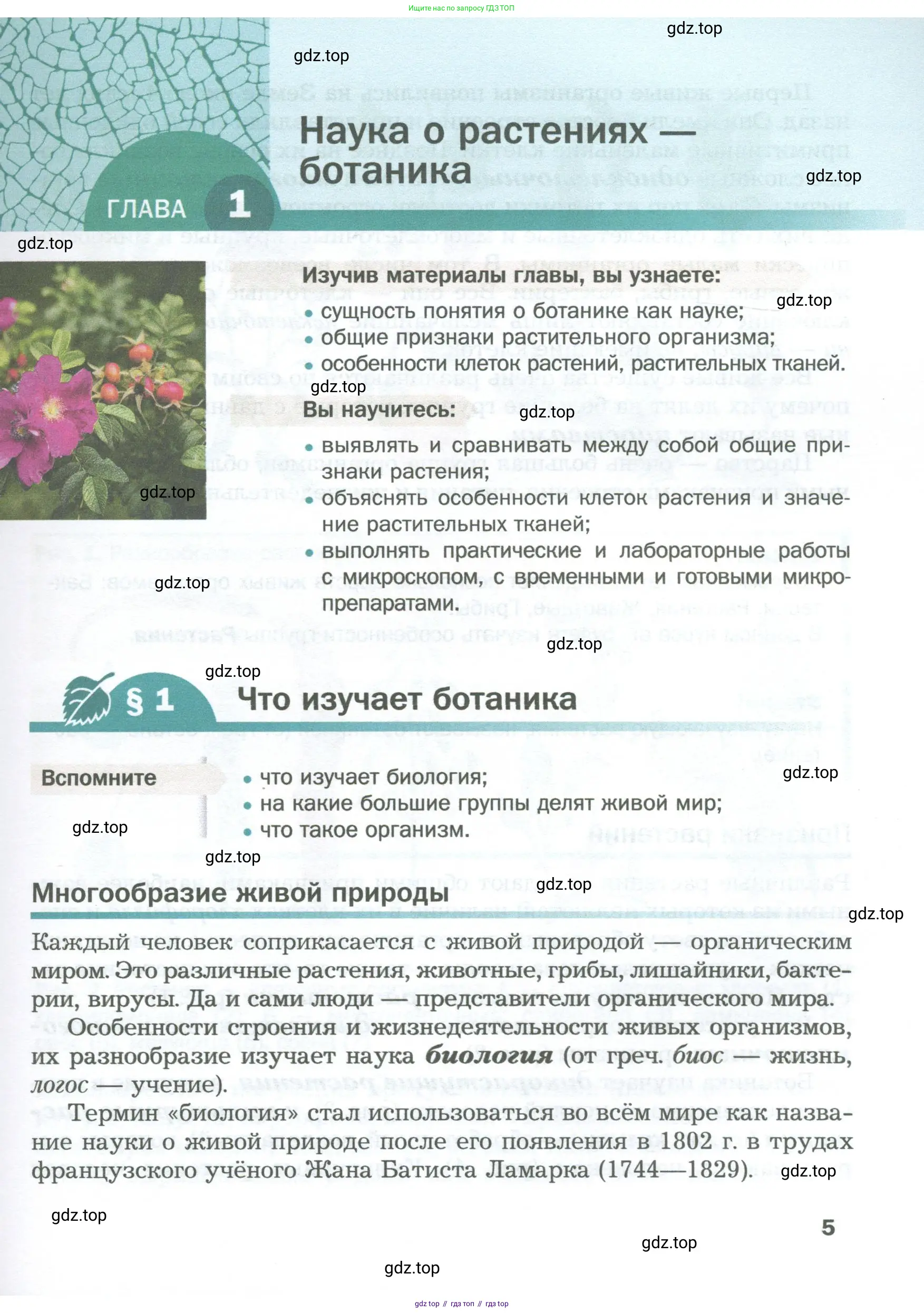 Биология, 6 класс Учебник, авторы: Пономарева Ирма Николаевна, Корнилова Ольга Анатольевна, издательство Просвещение, Москва, 2023, бирюзового цвета, страница 5