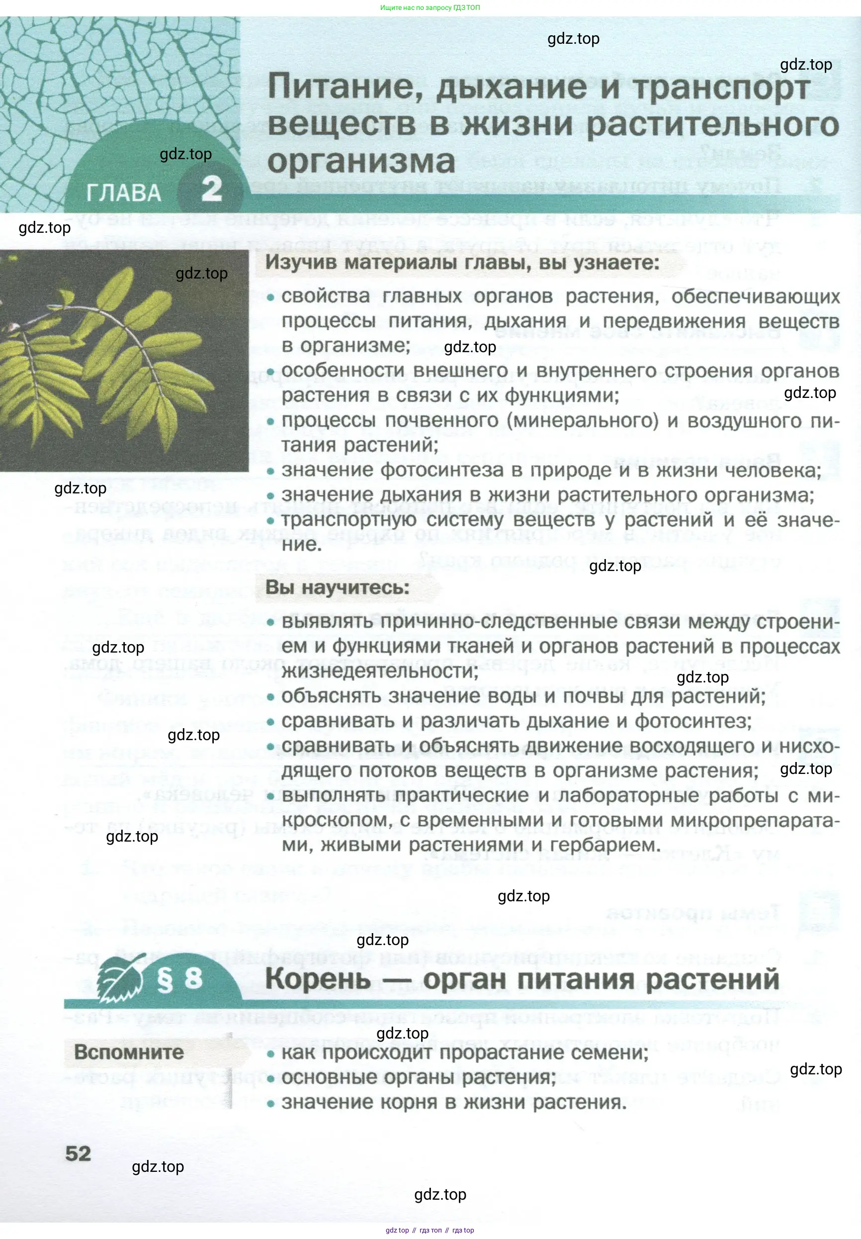 Биология, 6 класс Учебник, авторы: Пономарева Ирма Николаевна, Корнилова Ольга Анатольевна, издательство Просвещение, Москва, 2023, бирюзового цвета, страница 52