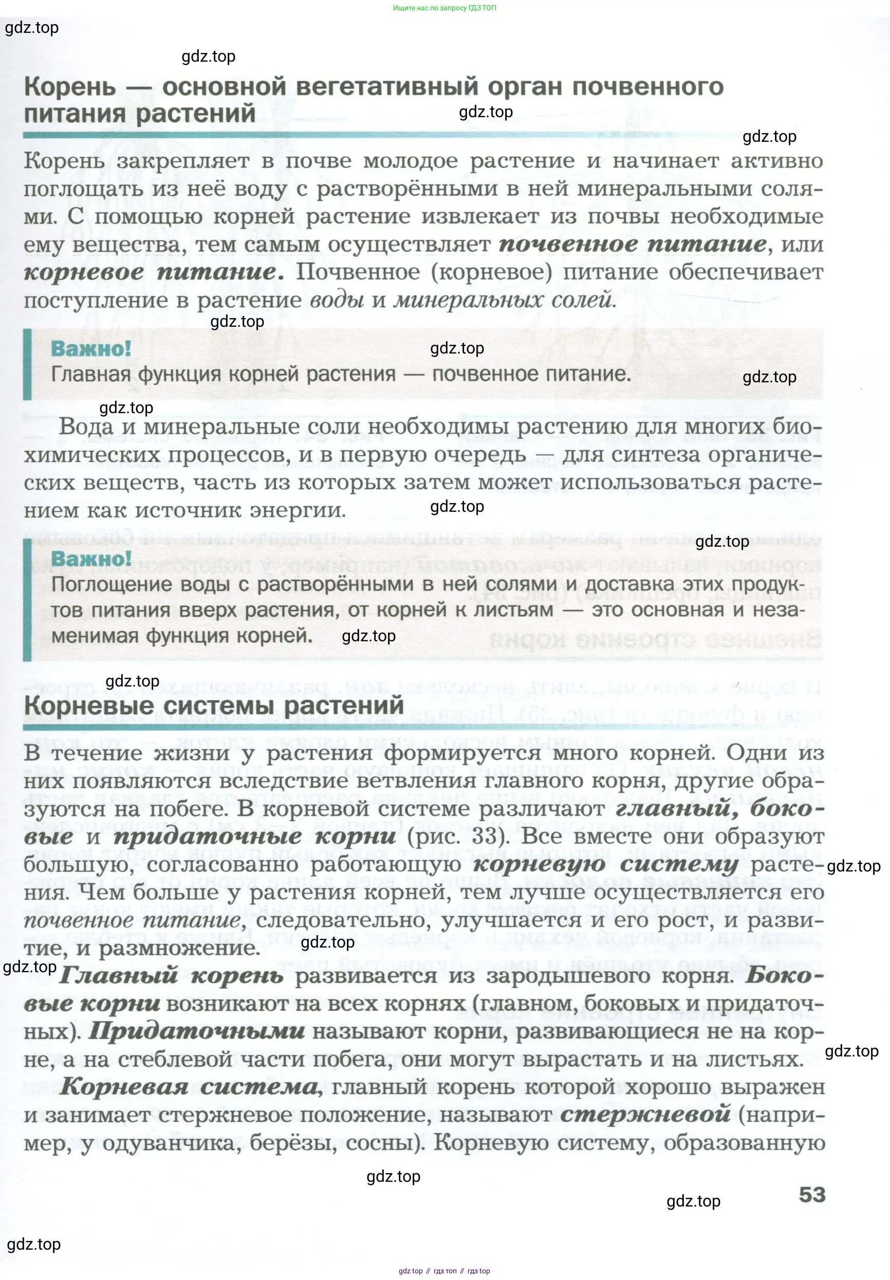 Биология, 6 класс Учебник, авторы: Пономарева Ирма Николаевна, Корнилова Ольга Анатольевна, издательство Просвещение, Москва, 2023, бирюзового цвета, страница 53