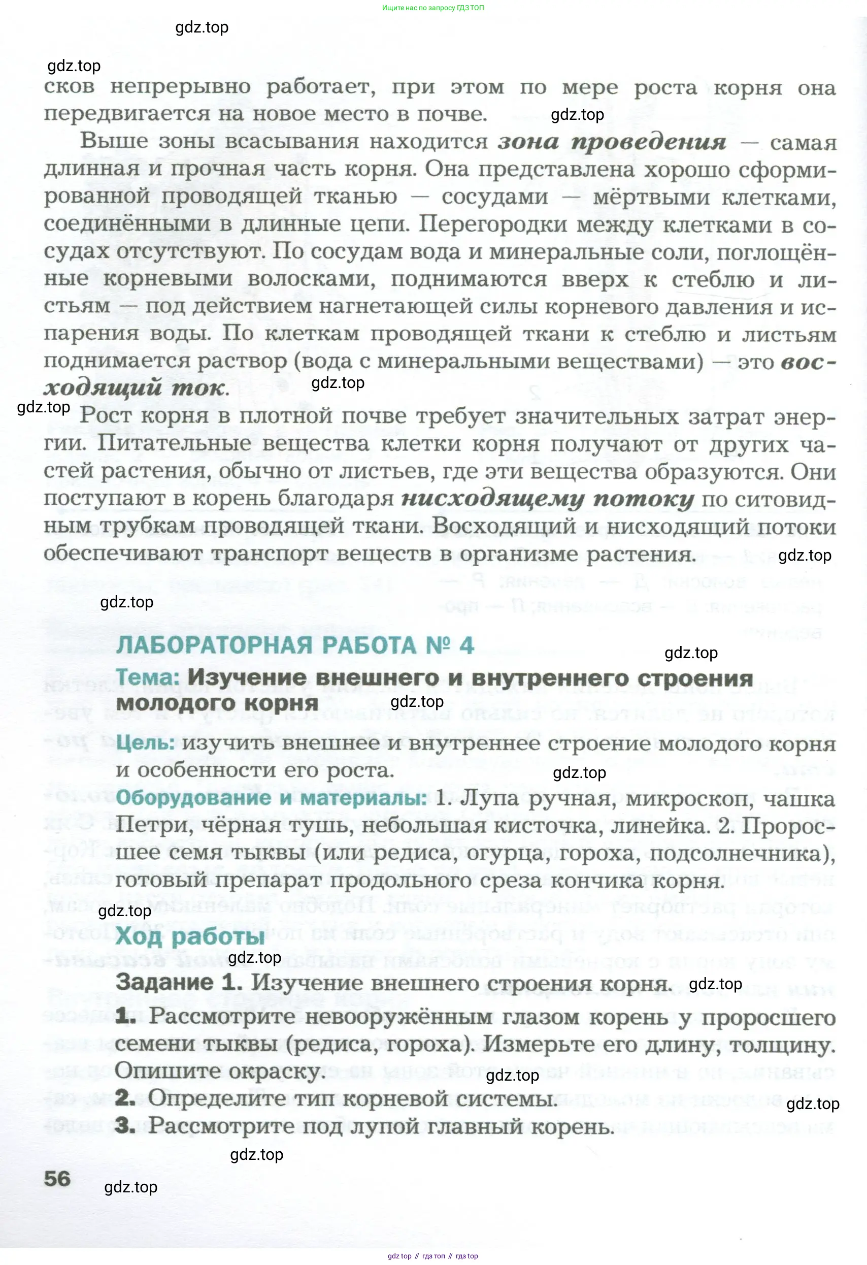 Биология, 6 класс Учебник, авторы: Пономарева Ирма Николаевна, Корнилова Ольга Анатольевна, издательство Просвещение, Москва, 2023, бирюзового цвета, страница 56