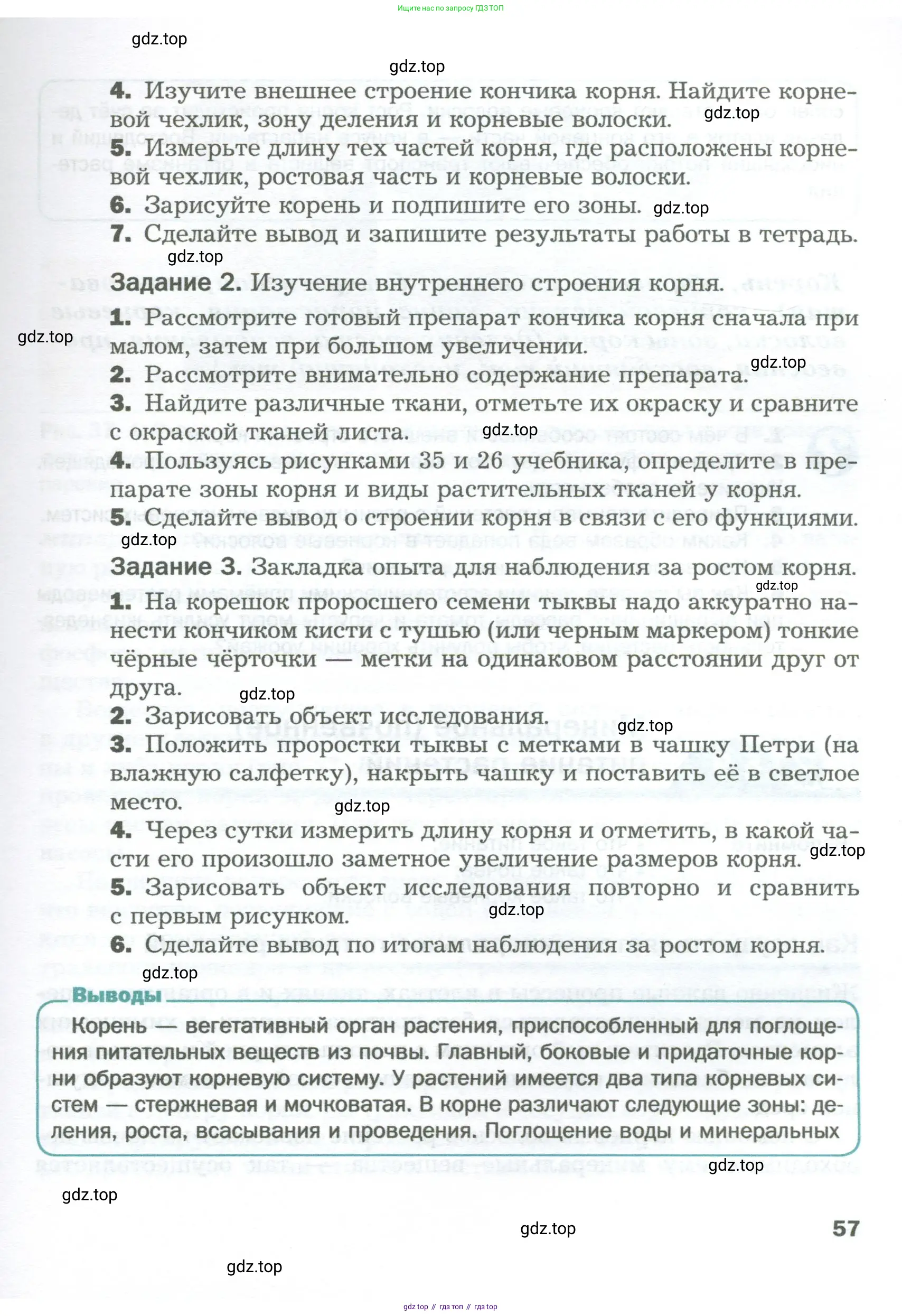 Биология, 6 класс Учебник, авторы: Пономарева Ирма Николаевна, Корнилова Ольга Анатольевна, издательство Просвещение, Москва, 2023, бирюзового цвета, страница 57