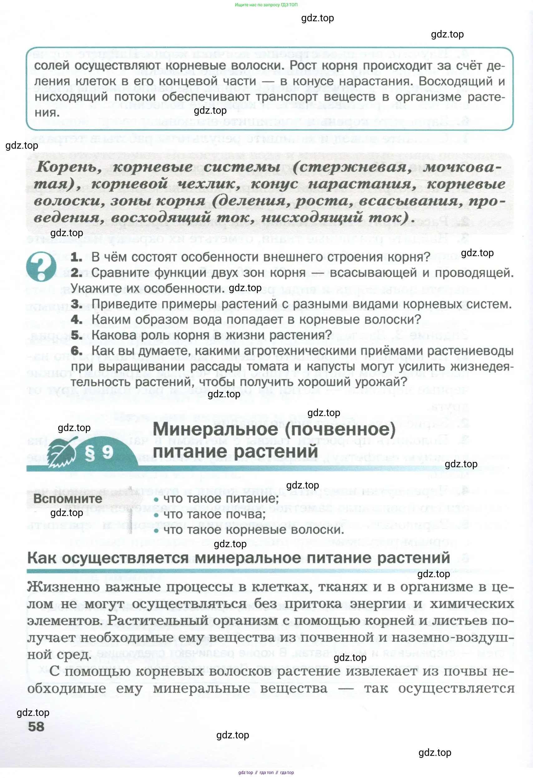 Биология, 6 класс Учебник, авторы: Пономарева Ирма Николаевна, Корнилова Ольга Анатольевна, издательство Просвещение, Москва, 2023, бирюзового цвета, страница 58