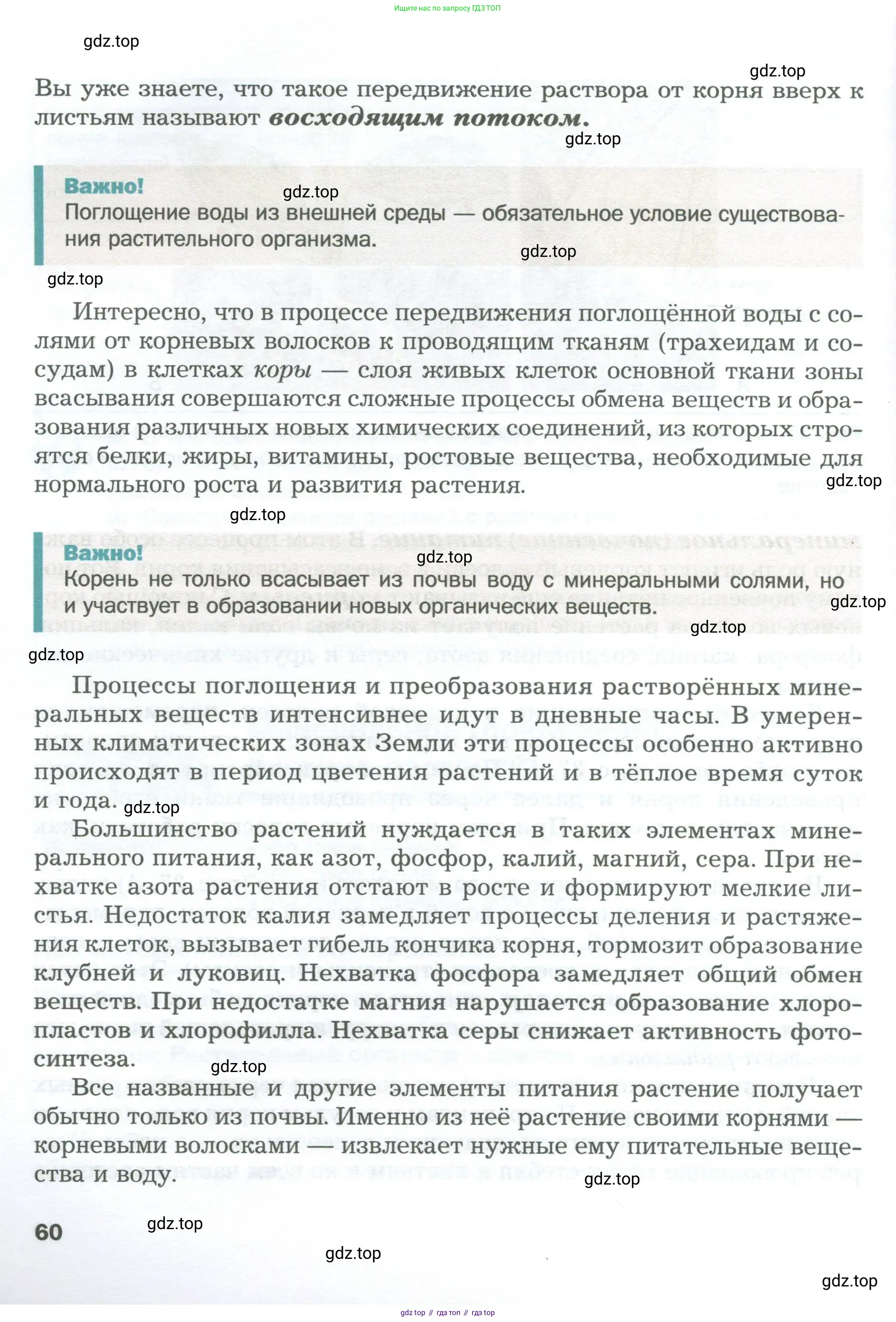 Биология, 6 класс Учебник, авторы: Пономарева Ирма Николаевна, Корнилова Ольга Анатольевна, издательство Просвещение, Москва, 2023, бирюзового цвета, страница 60