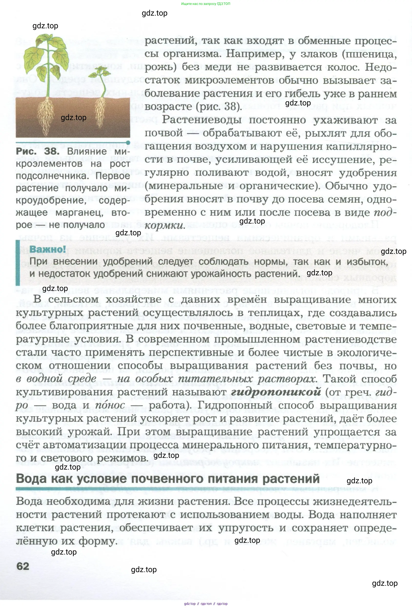 Биология, 6 класс Учебник, авторы: Пономарева Ирма Николаевна, Корнилова Ольга Анатольевна, издательство Просвещение, Москва, 2023, бирюзового цвета, страница 62