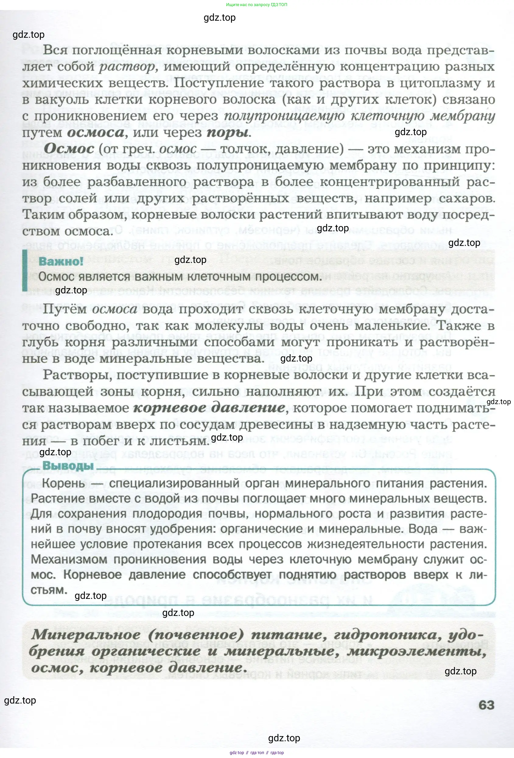Биология, 6 класс Учебник, авторы: Пономарева Ирма Николаевна, Корнилова Ольга Анатольевна, издательство Просвещение, Москва, 2023, бирюзового цвета, страница 63
