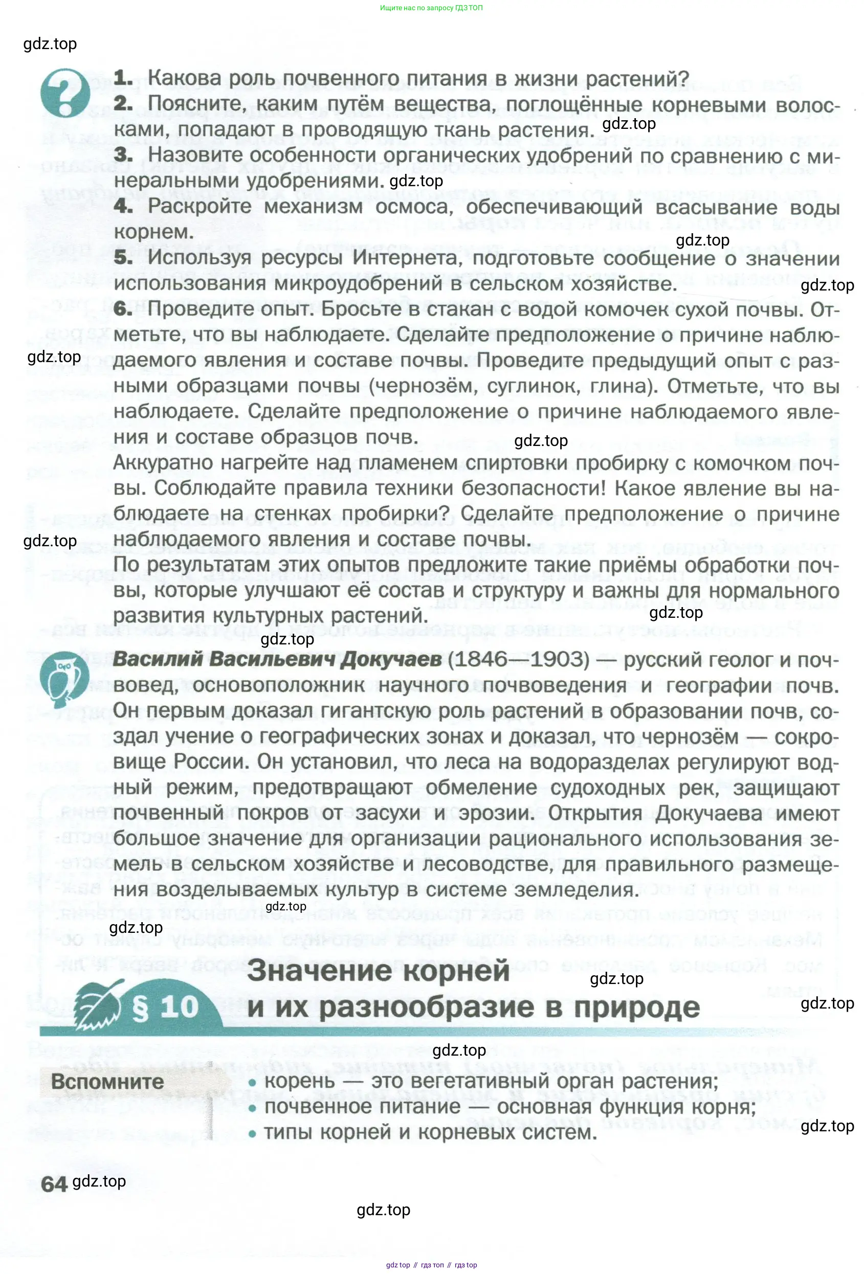 Биология, 6 класс Учебник, авторы: Пономарева Ирма Николаевна, Корнилова Ольга Анатольевна, издательство Просвещение, Москва, 2023, бирюзового цвета, страница 64