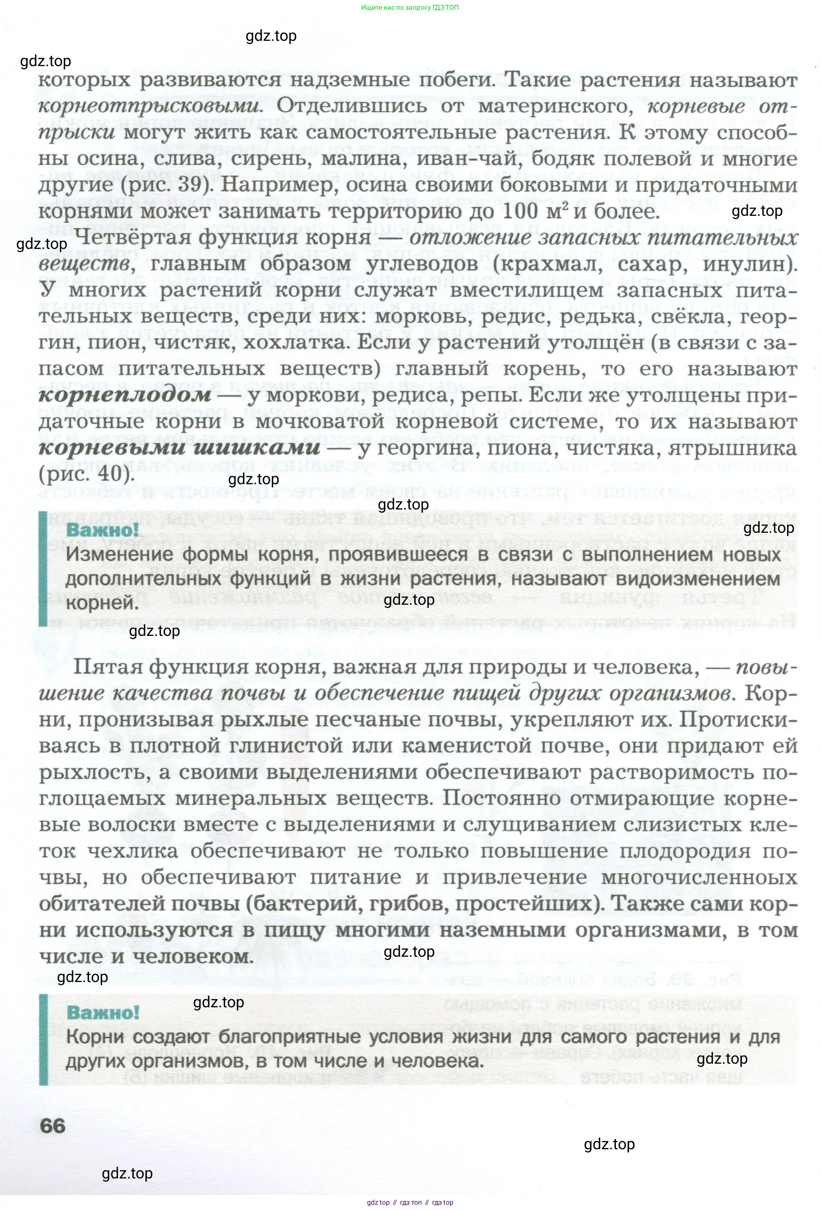 Биология, 6 класс Учебник, авторы: Пономарева Ирма Николаевна, Корнилова Ольга Анатольевна, издательство Просвещение, Москва, 2023, бирюзового цвета, страница 66