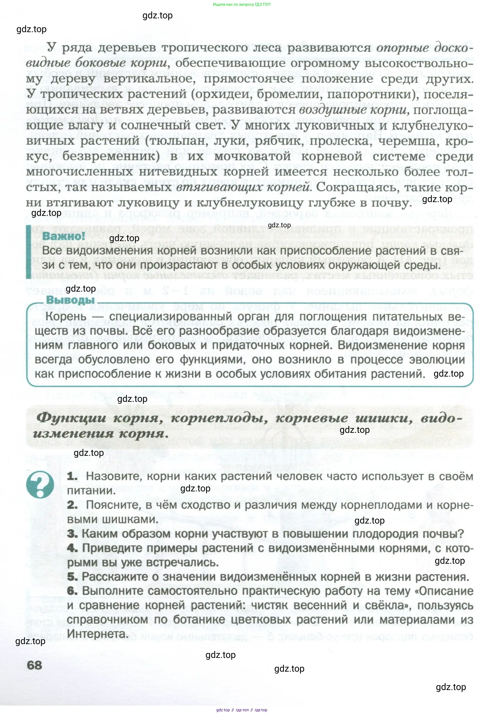 Биология, 6 класс Учебник, авторы: Пономарева Ирма Николаевна, Корнилова Ольга Анатольевна, издательство Просвещение, Москва, 2023, бирюзового цвета, страница 68