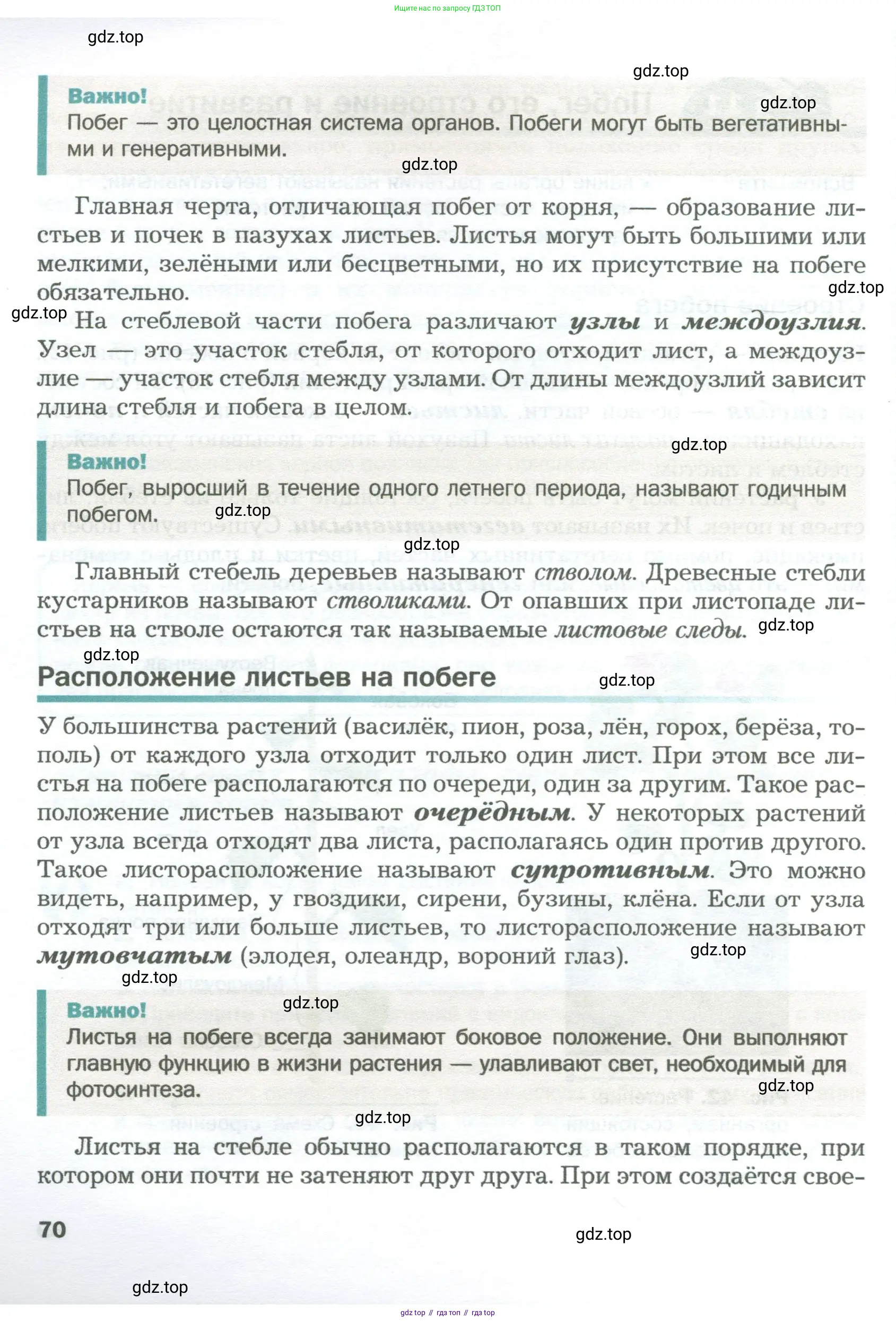 Биология, 6 класс Учебник, авторы: Пономарева Ирма Николаевна, Корнилова Ольга Анатольевна, издательство Просвещение, Москва, 2023, бирюзового цвета, страница 70