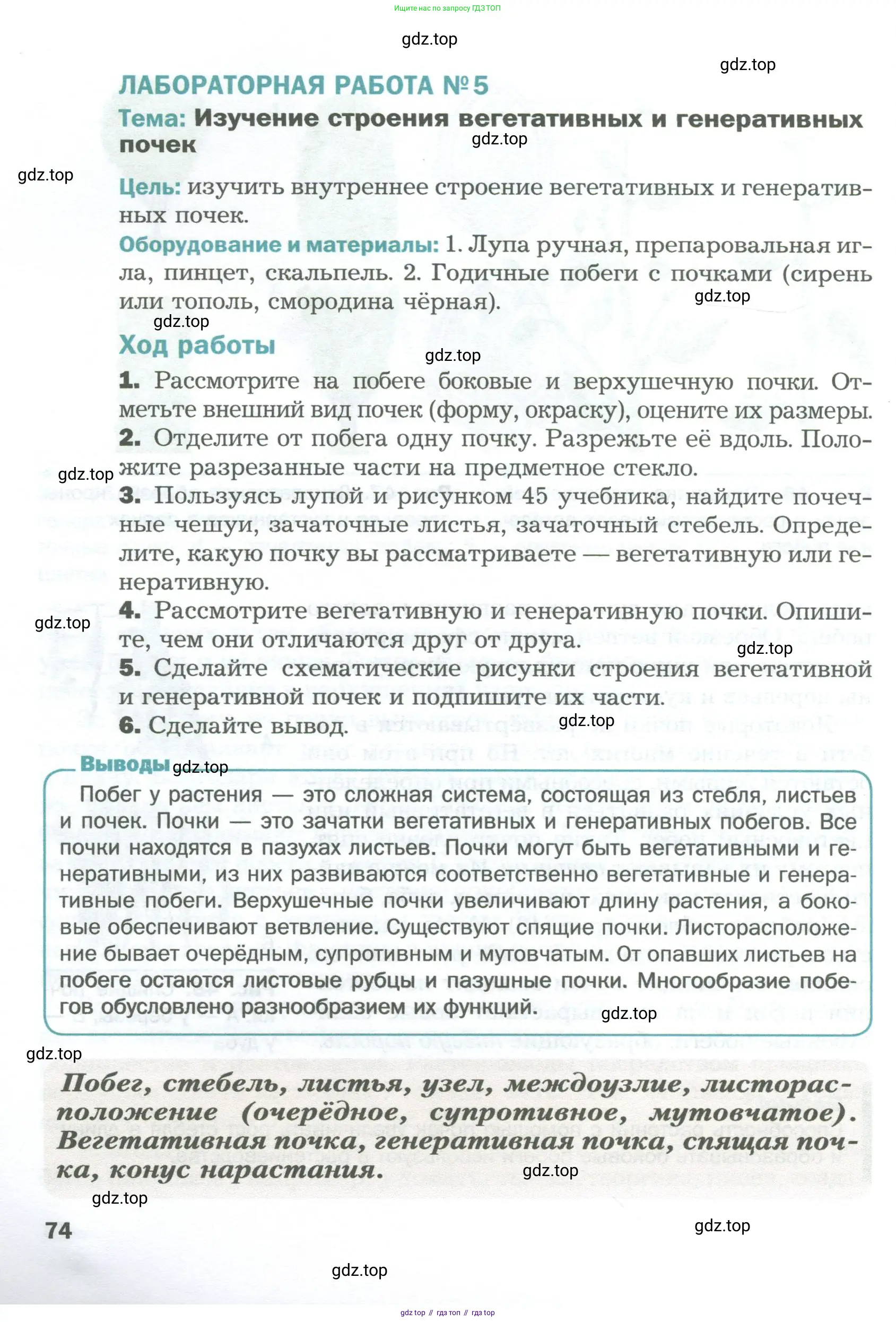 Биология, 6 класс Учебник, авторы: Пономарева Ирма Николаевна, Корнилова Ольга Анатольевна, издательство Просвещение, Москва, 2023, бирюзового цвета, страница 74
