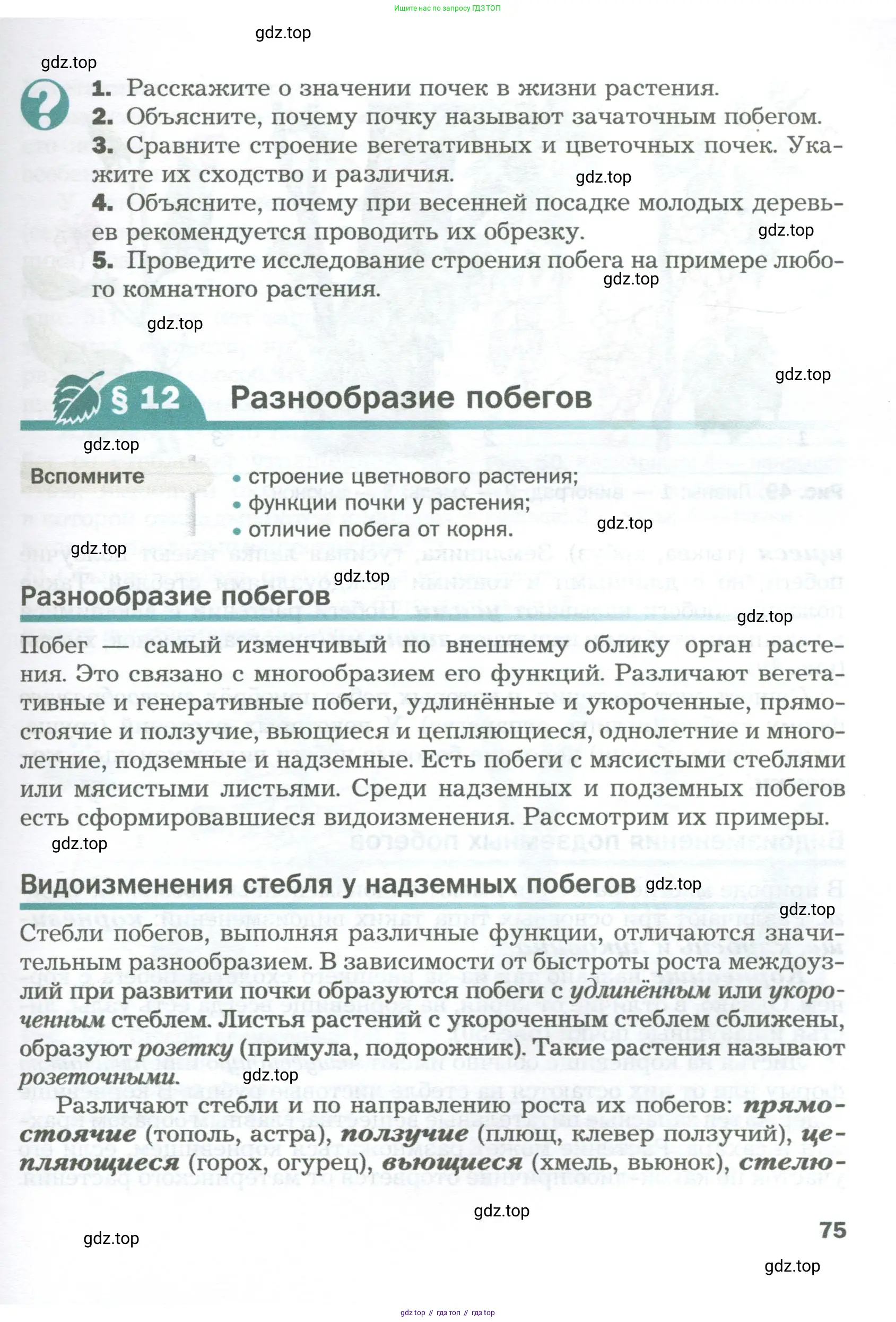Биология, 6 класс Учебник, авторы: Пономарева Ирма Николаевна, Корнилова Ольга Анатольевна, издательство Просвещение, Москва, 2023, бирюзового цвета, страница 75