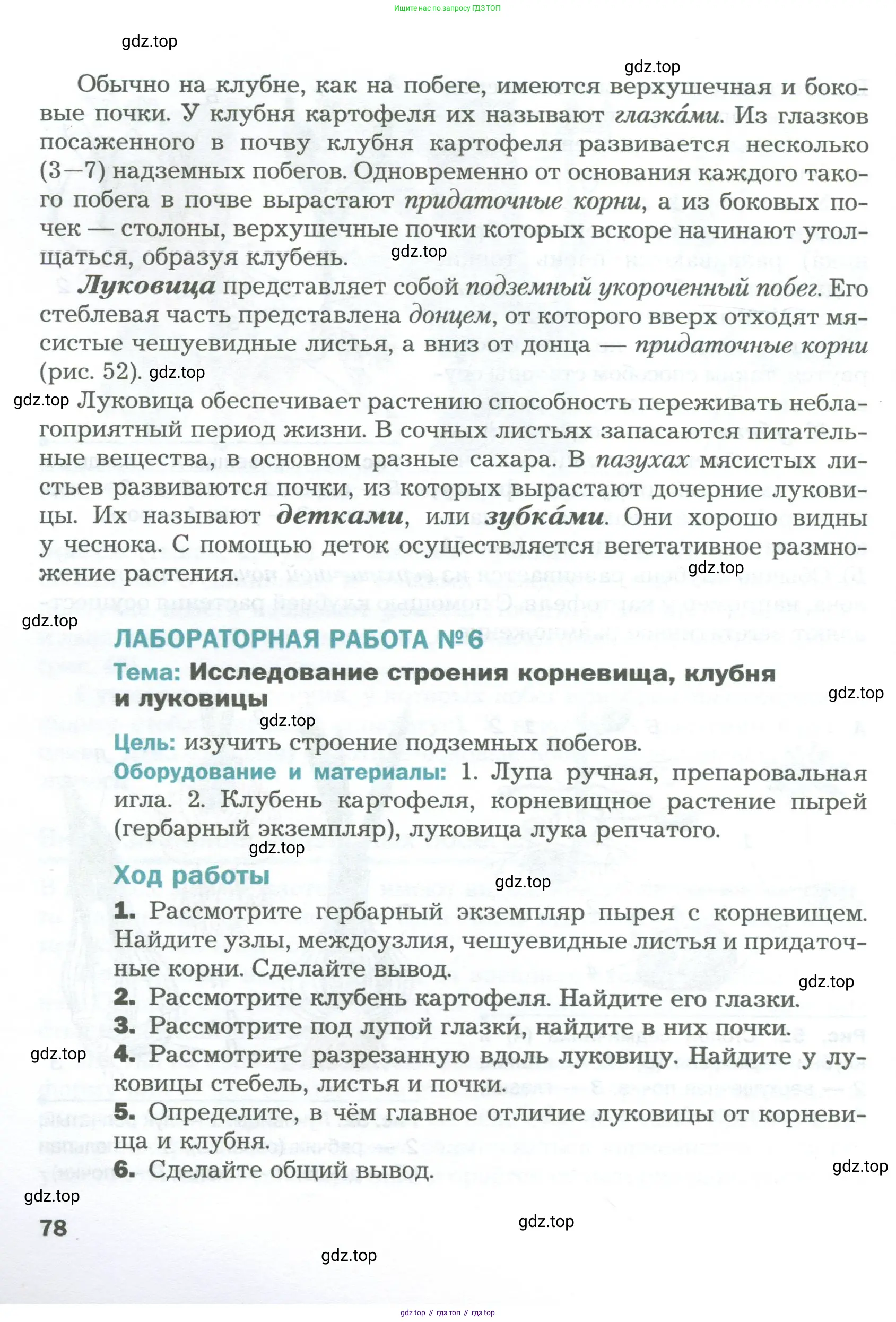 Биология, 6 класс Учебник, авторы: Пономарева Ирма Николаевна, Корнилова Ольга Анатольевна, издательство Просвещение, Москва, 2023, бирюзового цвета, страница 78