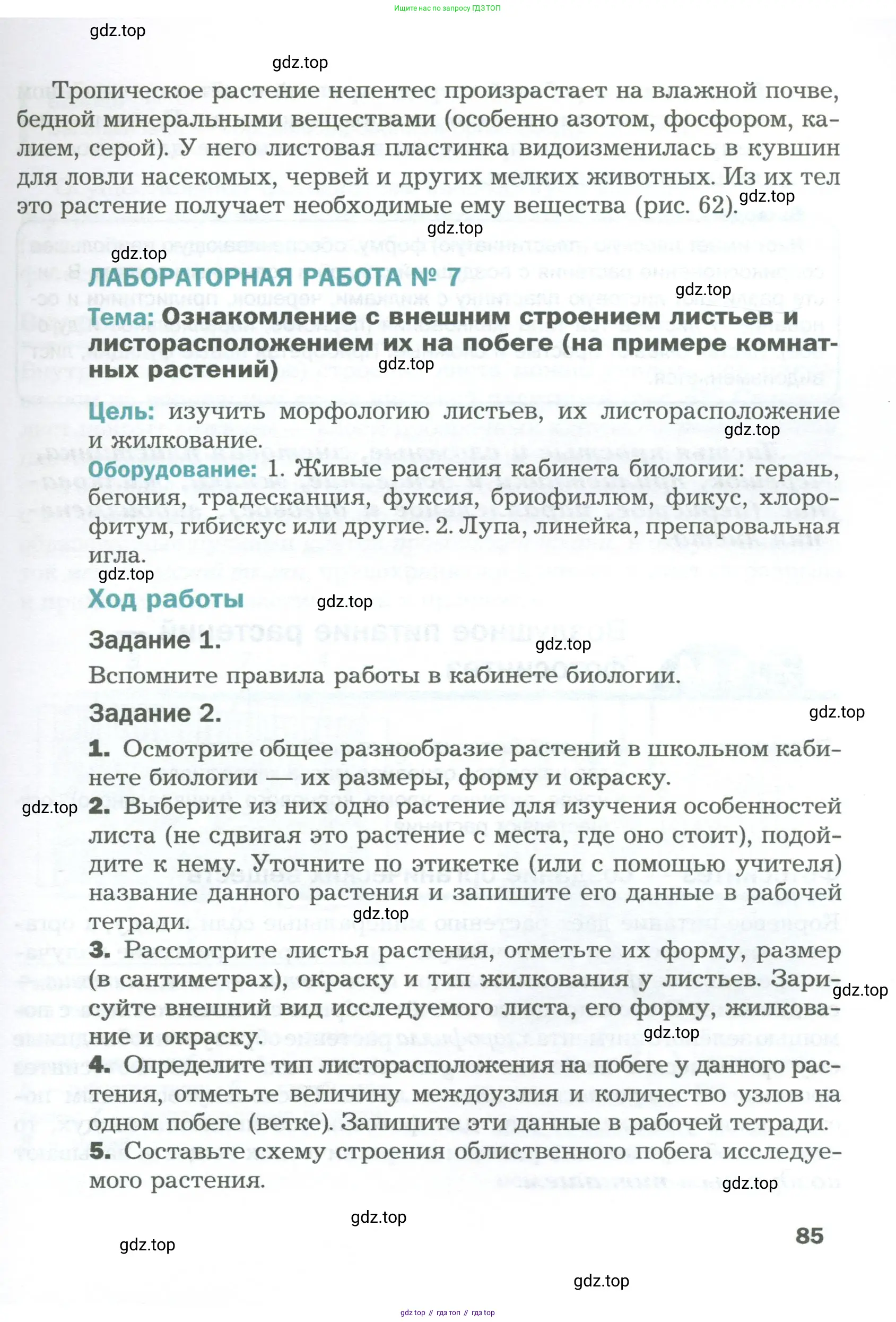 Биология, 6 класс Учебник, авторы: Пономарева Ирма Николаевна, Корнилова Ольга Анатольевна, издательство Просвещение, Москва, 2023, бирюзового цвета, страница 85