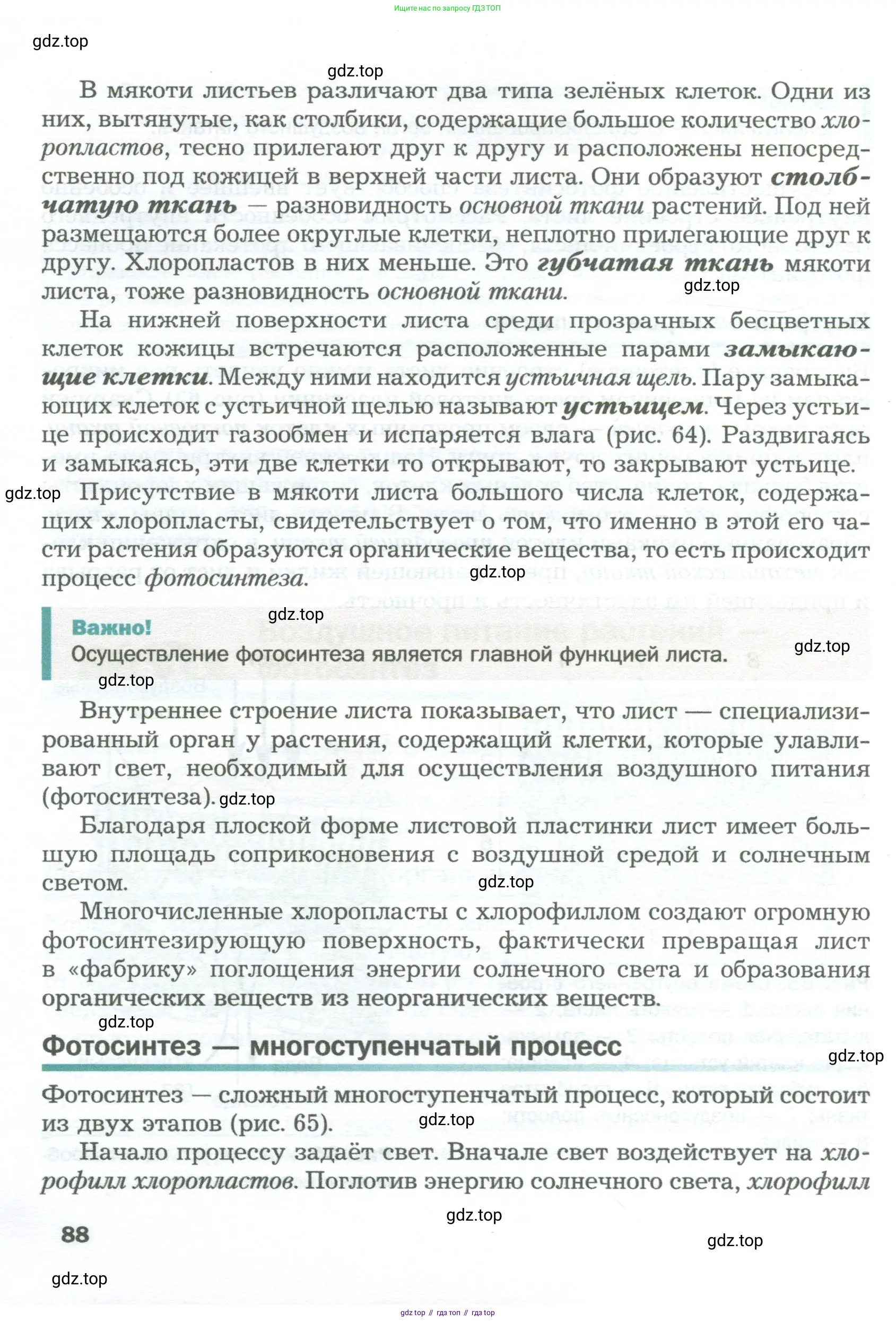 Биология, 6 класс Учебник, авторы: Пономарева Ирма Николаевна, Корнилова Ольга Анатольевна, издательство Просвещение, Москва, 2023, бирюзового цвета, страница 88
