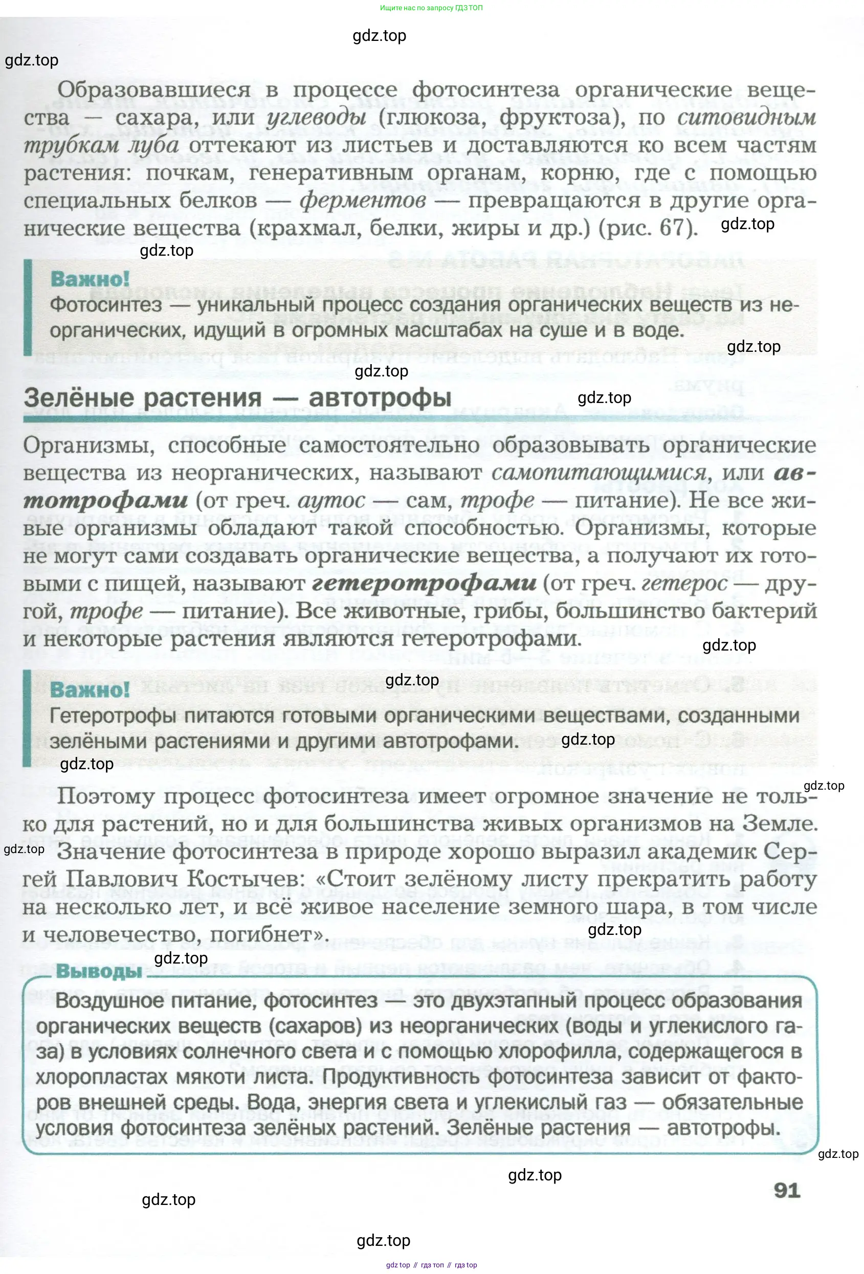 Биология, 6 класс Учебник, авторы: Пономарева Ирма Николаевна, Корнилова Ольга Анатольевна, издательство Просвещение, Москва, 2023, бирюзового цвета, страница 91