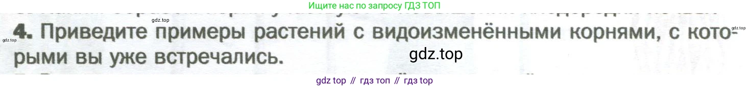 Биология, 6 класс Учебник, авторы: Пономарева Ирма Николаевна, Корнилова Ольга Анатольевна, издательство Просвещение, Москва, 2023, бирюзового цвета, страница 68, номер 4, Условие