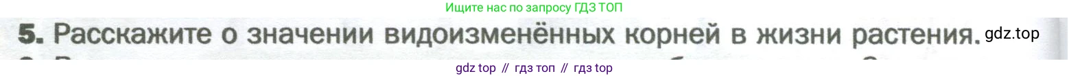 Биология, 6 класс Учебник, авторы: Пономарева Ирма Николаевна, Корнилова Ольга Анатольевна, издательство Просвещение, Москва, 2023, бирюзового цвета, страница 68, номер 5, Условие
