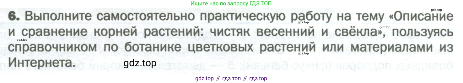Биология, 6 класс Учебник, авторы: Пономарева Ирма Николаевна, Корнилова Ольга Анатольевна, издательство Просвещение, Москва, 2023, бирюзового цвета, страница 68, номер 6, Условие