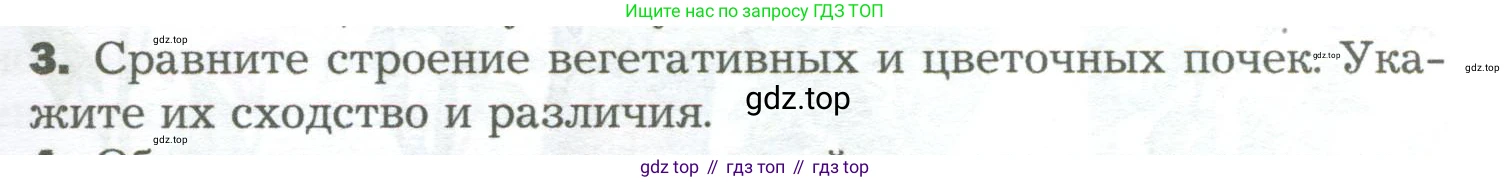 Биология, 6 класс Учебник, авторы: Пономарева Ирма Николаевна, Корнилова Ольга Анатольевна, издательство Просвещение, Москва, 2023, бирюзового цвета, страница 75, номер 3, Условие