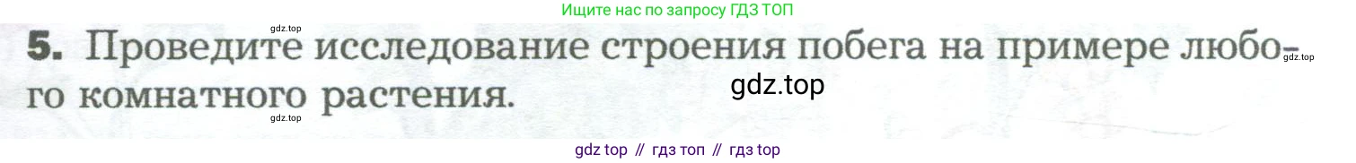 Биология, 6 класс Учебник, авторы: Пономарева Ирма Николаевна, Корнилова Ольга Анатольевна, издательство Просвещение, Москва, 2023, бирюзового цвета, страница 75, номер 5, Условие