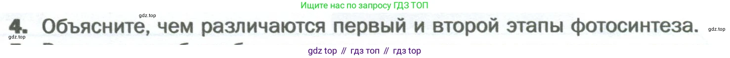Биология, 6 класс Учебник, авторы: Пономарева Ирма Николаевна, Корнилова Ольга Анатольевна, издательство Просвещение, Москва, 2023, бирюзового цвета, страница 92, номер 4, Условие