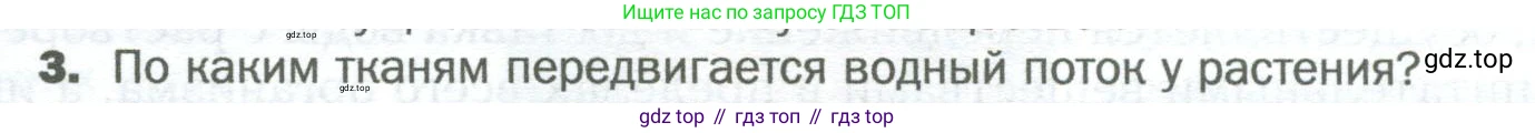 Биология, 6 класс Учебник, авторы: Пономарева Ирма Николаевна, Корнилова Ольга Анатольевна, издательство Просвещение, Москва, 2023, бирюзового цвета, страница 105, номер 3, Условие