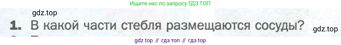 Биология, 6 класс Учебник, авторы: Пономарева Ирма Николаевна, Корнилова Ольга Анатольевна, издательство Просвещение, Москва, 2023, бирюзового цвета, страница 115, номер 1, Условие