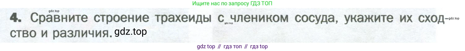 Биология, 6 класс Учебник, авторы: Пономарева Ирма Николаевна, Корнилова Ольга Анатольевна, издательство Просвещение, Москва, 2023, бирюзового цвета, страница 115, номер 4, Условие