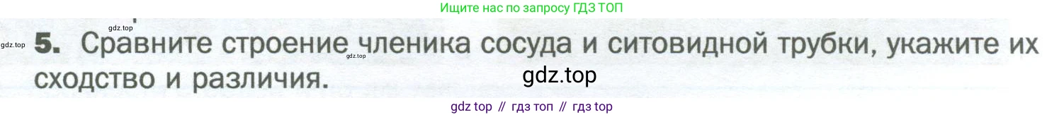 Биология, 6 класс Учебник, авторы: Пономарева Ирма Николаевна, Корнилова Ольга Анатольевна, издательство Просвещение, Москва, 2023, бирюзового цвета, страница 115, номер 5, Условие