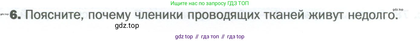 Биология, 6 класс Учебник, авторы: Пономарева Ирма Николаевна, Корнилова Ольга Анатольевна, издательство Просвещение, Москва, 2023, бирюзового цвета, страница 115, номер 6, Условие