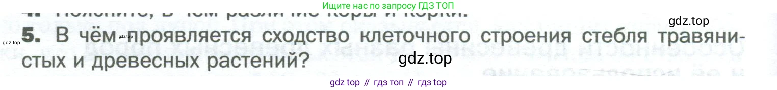 Биология, 6 класс Учебник, авторы: Пономарева Ирма Николаевна, Корнилова Ольга Анатольевна, издательство Просвещение, Москва, 2023, бирюзового цвета, страница 122, номер 5, Условие