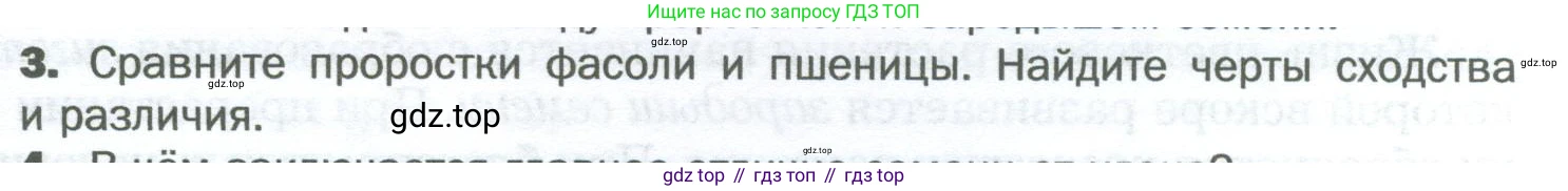 Биология, 6 класс Учебник, авторы: Пономарева Ирма Николаевна, Корнилова Ольга Анатольевна, издательство Просвещение, Москва, 2023, бирюзового цвета, страница 163, номер 3, Условие