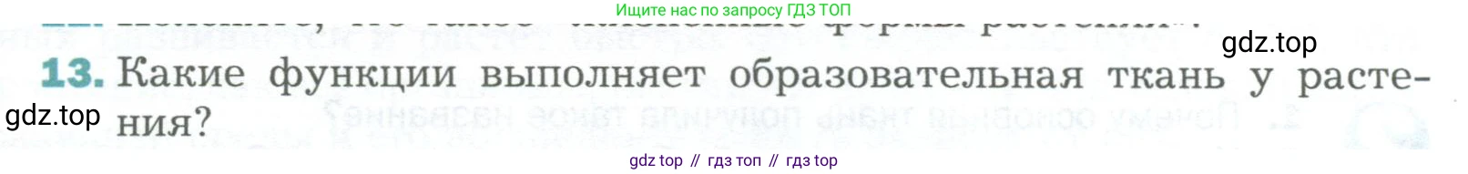 Биология, 6 класс Учебник, авторы: Пономарева Ирма Николаевна, Корнилова Ольга Анатольевна, издательство Просвещение, Москва, 2023, бирюзового цвета, страница 48, номер 13, Условие