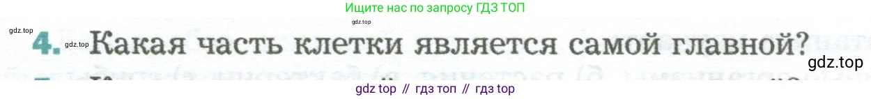 Биология, 6 класс Учебник, авторы: Пономарева Ирма Николаевна, Корнилова Ольга Анатольевна, издательство Просвещение, Москва, 2023, бирюзового цвета, страница 47, номер 4, Условие