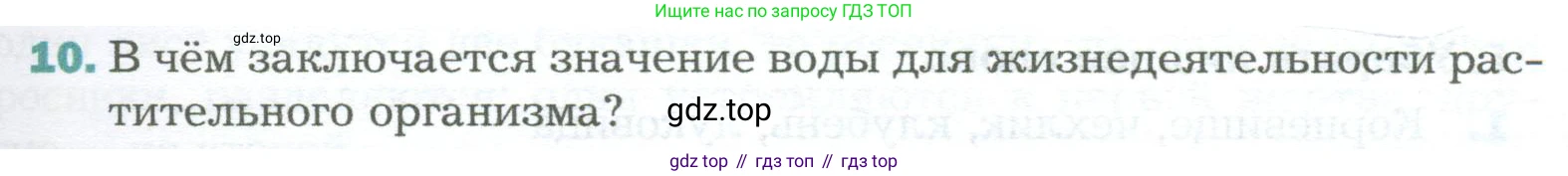 Биология, 6 класс Учебник, авторы: Пономарева Ирма Николаевна, Корнилова Ольга Анатольевна, издательство Просвещение, Москва, 2023, бирюзового цвета, страница 123, номер 10, Условие