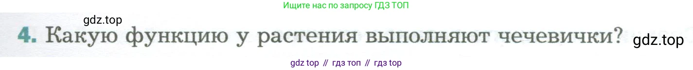 Биология, 6 класс Учебник, авторы: Пономарева Ирма Николаевна, Корнилова Ольга Анатольевна, издательство Просвещение, Москва, 2023, бирюзового цвета, страница 123, номер 4, Условие