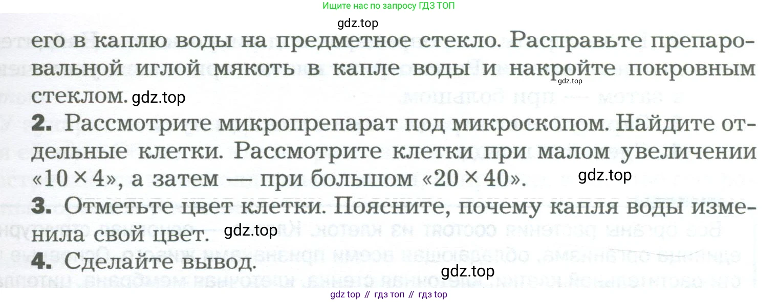 Биология, 6 класс Учебник, авторы: Пономарева Ирма Николаевна, Корнилова Ольга Анатольевна, издательство Просвещение, Москва, 2023, бирюзового цвета, страница 36, Условие (продолжение 2)