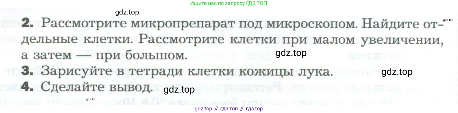 Биология, 6 класс Учебник, авторы: Пономарева Ирма Николаевна, Корнилова Ольга Анатольевна, издательство Просвещение, Москва, 2023, бирюзового цвета, страница 37, Условие (продолжение 2)