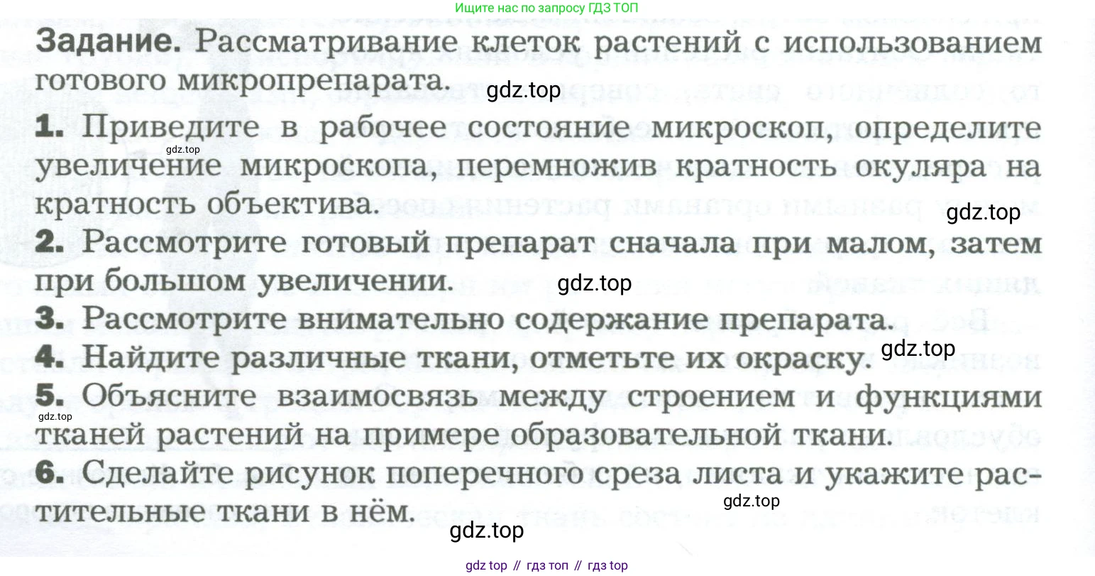Биология, 6 класс Учебник, авторы: Пономарева Ирма Николаевна, Корнилова Ольга Анатольевна, издательство Просвещение, Москва, 2023, бирюзового цвета, страница 46, Условие