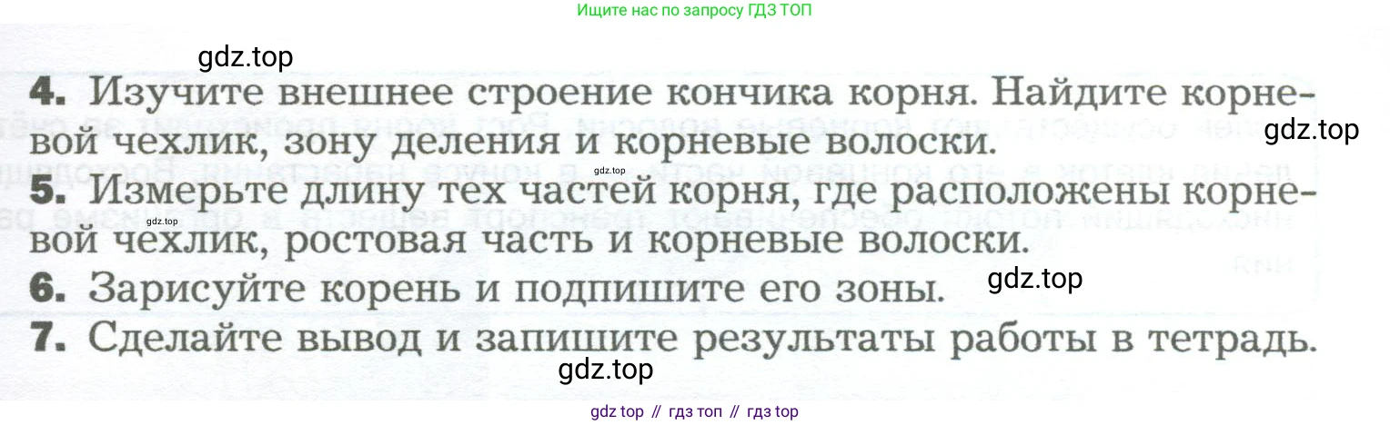 Биология, 6 класс Учебник, авторы: Пономарева Ирма Николаевна, Корнилова Ольга Анатольевна, издательство Просвещение, Москва, 2023, бирюзового цвета, страница 56, Условие (продолжение 2)