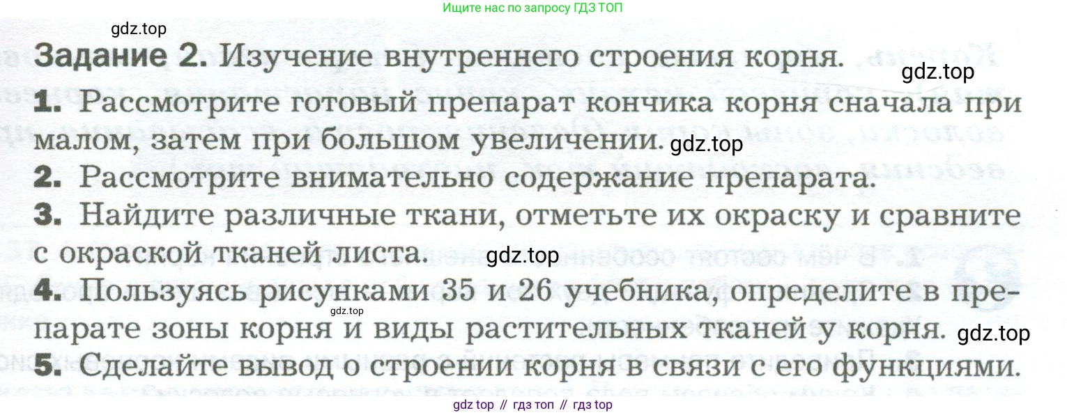 Биология, 6 класс Учебник, авторы: Пономарева Ирма Николаевна, Корнилова Ольга Анатольевна, издательство Просвещение, Москва, 2023, бирюзового цвета, страница 57, Условие