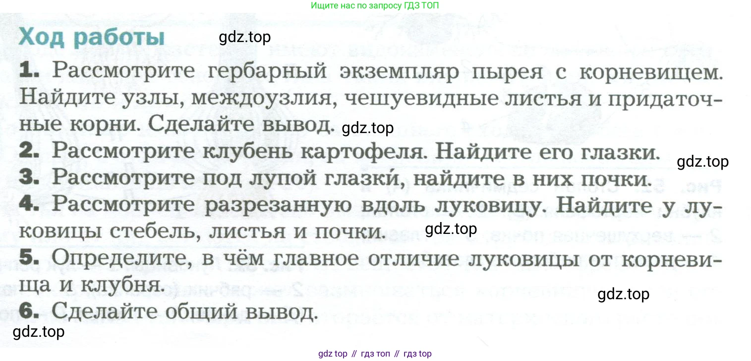 Биология, 6 класс Учебник, авторы: Пономарева Ирма Николаевна, Корнилова Ольга Анатольевна, издательство Просвещение, Москва, 2023, бирюзового цвета, страница 78, Условие