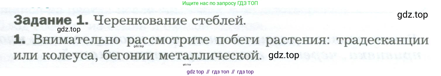 Биология, 6 класс Учебник, авторы: Пономарева Ирма Николаевна, Корнилова Ольга Анатольевна, издательство Просвещение, Москва, 2023, бирюзового цвета, страница 147, Условие