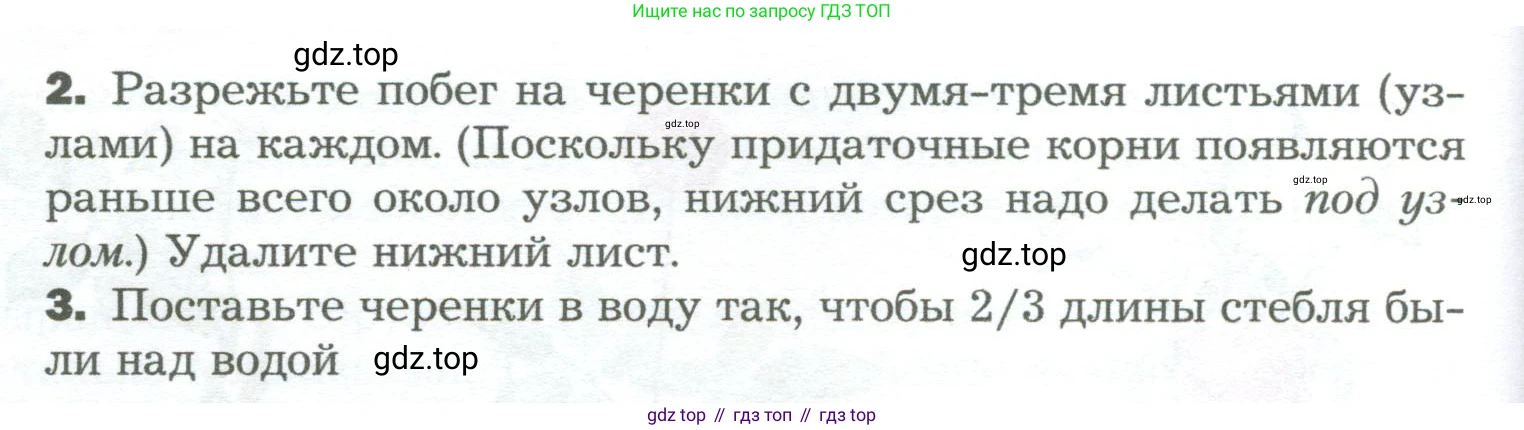 Биология, 6 класс Учебник, авторы: Пономарева Ирма Николаевна, Корнилова Ольга Анатольевна, издательство Просвещение, Москва, 2023, бирюзового цвета, страница 147, Условие (продолжение 2)