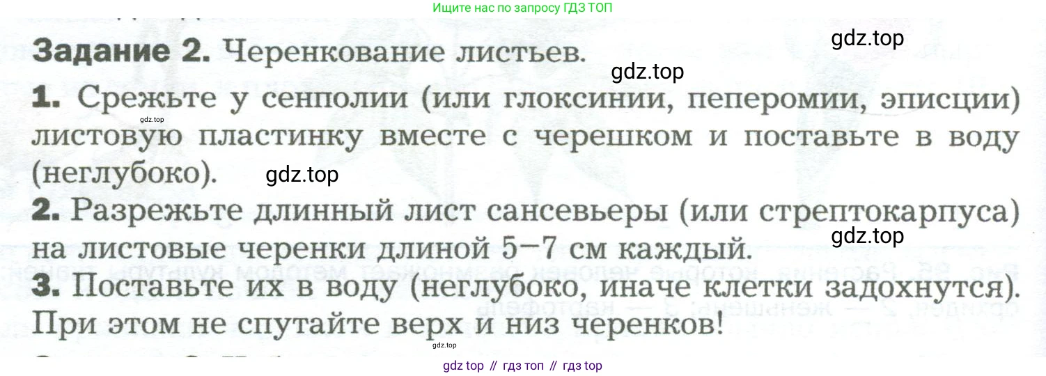 Биология, 6 класс Учебник, авторы: Пономарева Ирма Николаевна, Корнилова Ольга Анатольевна, издательство Просвещение, Москва, 2023, бирюзового цвета, страница 148, Условие