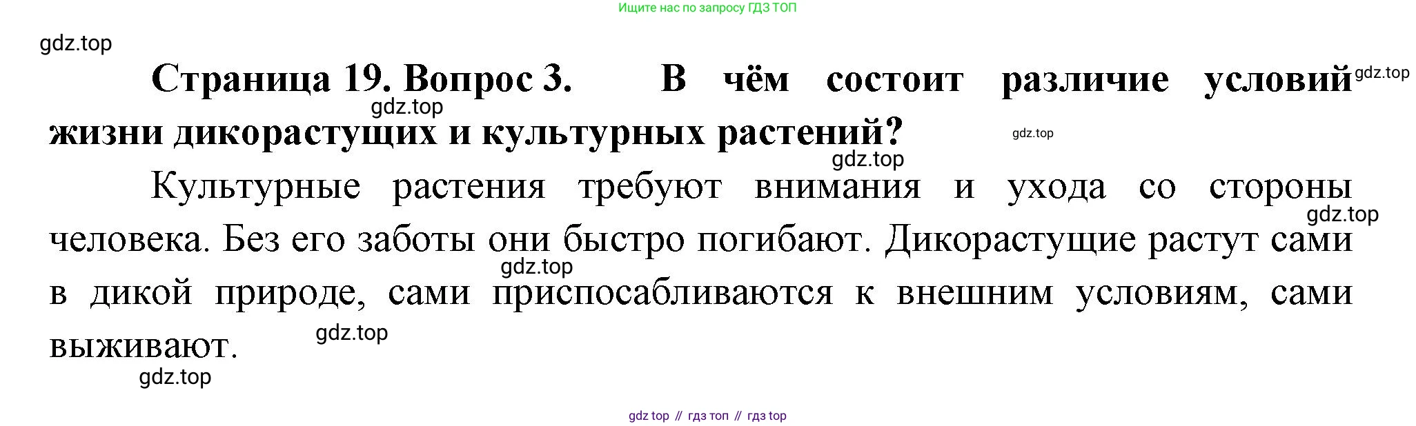 Биология, 6 класс Учебник, авторы: Пономарева Ирма Николаевна, Корнилова Ольга Анатольевна, издательство Просвещение, Москва, 2023, бирюзового цвета, страница 19, номер 3, Решение